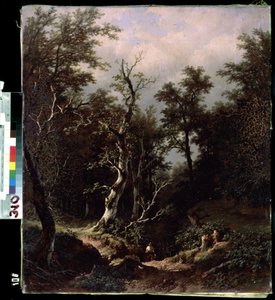 Boslandschap