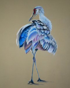 Kraanvogel