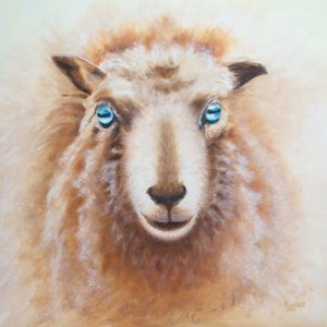 Schaap door Renate Dohr