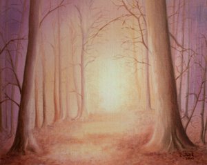 Weg naar het licht door Renate Dohr
