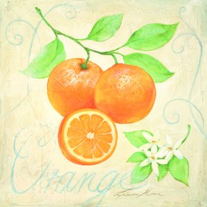 Verse sinaasappels en bloesems door Renate Holzner