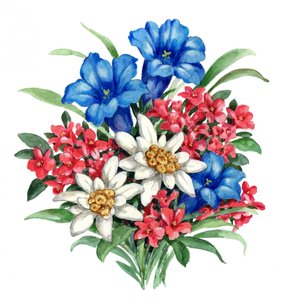 Kleurrijke alpenbloemen door Renate Holzner