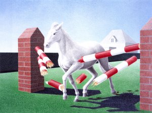 Obstakel door Rene Boin