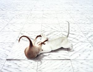 Spelen door Rene Boin