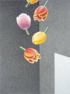 Tulpen