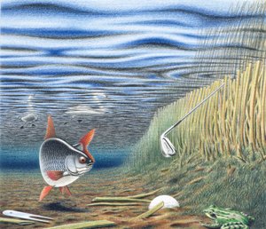 Waterhindernis door Rene Boin
