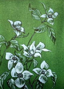 Groene botanische bloesems