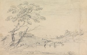 Landschap