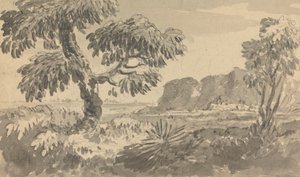 Landschap met Twee Bomen en Klif door Rev. William Gilpin