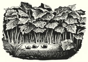 Hans Christian Andersen: De Gelukkige Familie