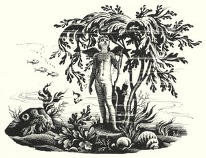Hans Christian Andersen: De Kleine Zeemeermin door Rex (after) Whistler