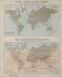 Een getijdenkaart en een kaart van de verspreiding van planten over de wereld, ca. 1850 door John Pardon