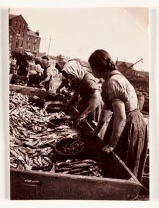 Vissen, vissersvrouwen sorteren vis, Whitby Harbour, North Yorkshire, ca. 1905