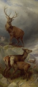 Het hertenkamp door Richard Ansdell
