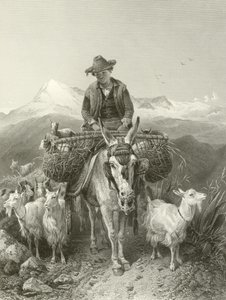 De Geitenhoeder van Granada