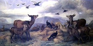 Het koren van de herder