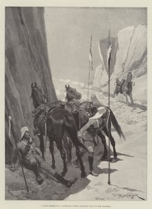 Een Stomme Boodschapper, een Ruiterloos Paard dat Terug Galoppeert naar de Ondersteuning