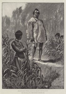 Nada de Lelie, door H Rider Haggard door Richard Caton Woodville junior