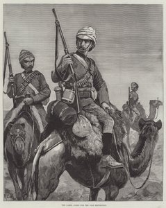 Het Kameelkorps voor de Nijl Expeditie