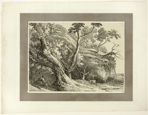 Landschap met grote bomen, uit de eerste uitgave van Specimens of Polyautography