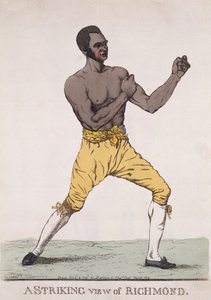 Een Indrukwekkend Uitzicht op Richmond, gepubliceerd 1810