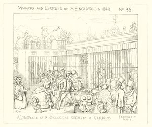 Een vooruitzicht van de tuinen van de Zoological Society door Richard Doyle