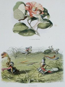 Een dansende vlinder, en het toernooi, illustraties uit 