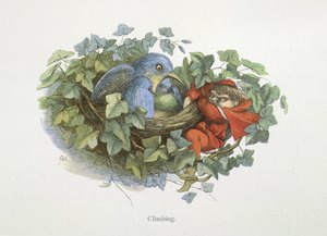 Klimmen