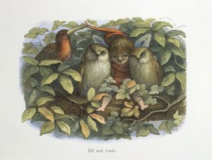 Elf en uilen