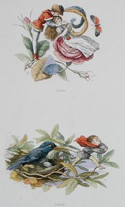 Flirten en stelen, illustraties uit 