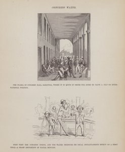 Pagina uit De Amerikaanse Tour van de heren Brown, Jones en Robinson door Richard Doyle