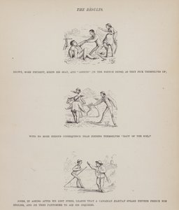 Pagina uit De Amerikaanse tour van de heren Brown, Jones en Robinson (gravure) door Richard Doyle
