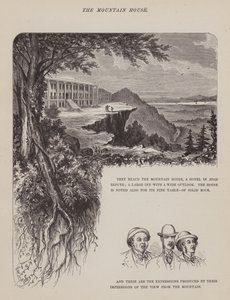 Pagina uit De Amerikaanse tour van de heren Brown, Jones en Robinson (gravure) door Richard Doyle