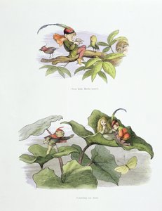 Arme kleine vogel gepest, en verkorte hofmakerij, illustraties uit 