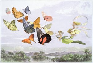 De koets van de feeënkoningin, ca. 1870 door Richard Doyle