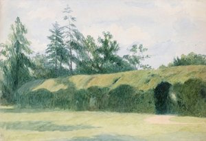  door Richard Doyle