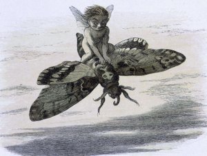 Een elf die op een vlinder rijdt. Illustratie van Richard Doyle uit "In Fairy land. Een serie afbeeldingen uit de elf-wereld" vergezeld van een gedicht van W Allingham. 1869-1870. The British Library Institution Reference: Shelfmark ID: 1876 e18 