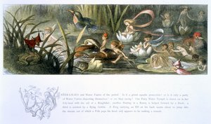 Waterlelies en waterfeeën, illustratie uit 