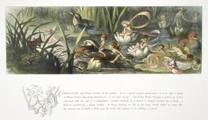 Waterlelies en waterfeeën door Richard Doyle