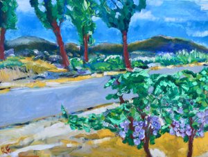 Wijngaard langs de Weg, Napa, 2017
