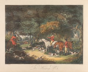 Vossenjacht: Het bos doorzoeken