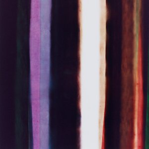 Streep IV, 2005 door Richard Green