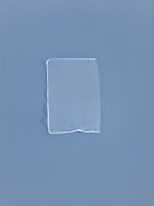 Zonder Titel, 2001 door Richard Green