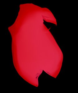 Zonder Titel, 2003