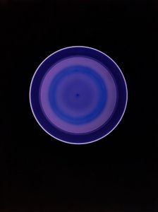 Zonder Titel, 2004 door Richard Green
