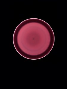 Zonder Titel, 2004 door Richard Green