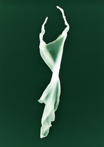 Zonder titel, 2004