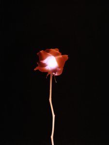 Zonder Titel, 2007 door Richard Green