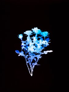 Zonder Titel, 2008 door Richard Green
