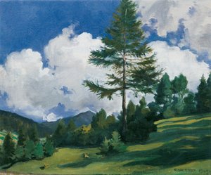 Motief bij Toblach